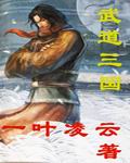 武道三国封面