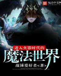 进入火器时代的魔法世界封面