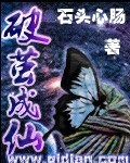 破茧成仙封面
