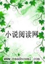 爆米花的爱恋封面