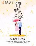 锦绣八零封面
