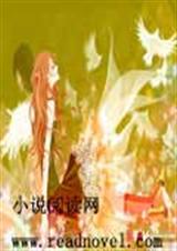 大叔的浪漫追求旅程封面