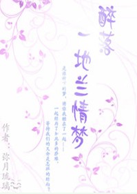 醉落一地兰情梦(穿越少年四大名捕)封面