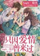 寻梦:只因爱情曾来过封面