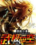 武极碎空封面