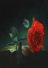 ս����������¼