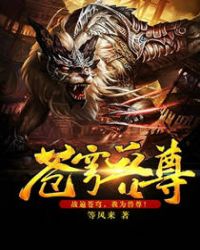 苍穹兽尊封面