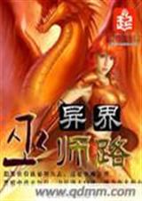 异界巫师路封面
