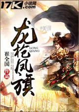 龙枪凤旗封面