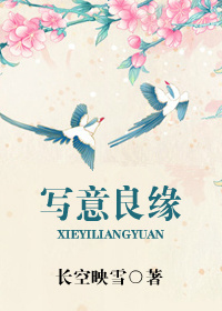 写意良缘封面