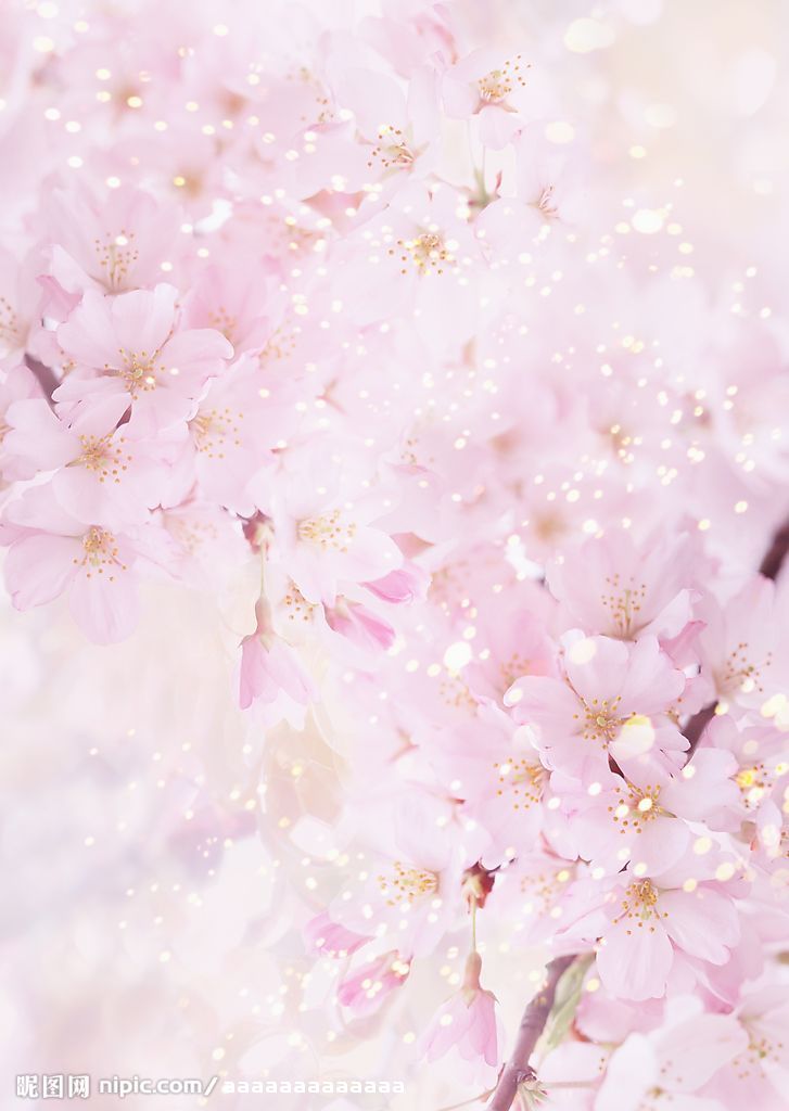 �����ֻ�