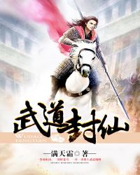 武道封仙封面