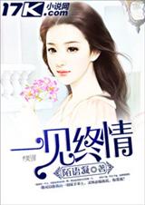 一见终情封面