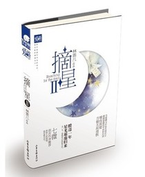 摘星2(林笛儿)封面