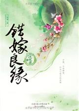 错嫁良缘之洗冤录封面