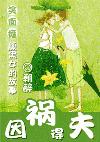 因祸得夫封面
