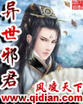 异世邪君上部封面