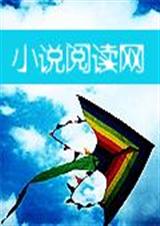 相恋在未来封面