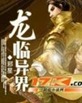 龙临异界封面
