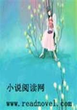 倔强小王妃的私秘日记封面