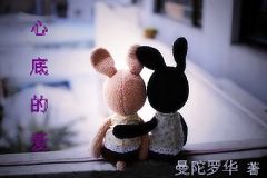 心底的爱封面