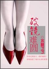 破镜难圆封面