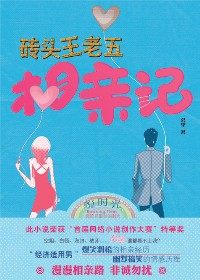 砖头王老五相亲记封面