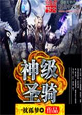 神级圣骑封面