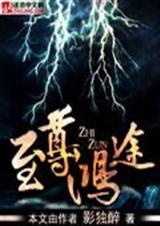 至尊鸿途封面