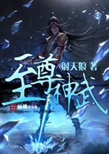 至尊神武封面