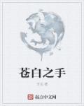 苍白之手封面