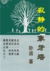 寂静的象牙塔封面