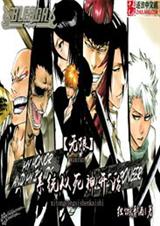 无限系统从死神开始封面