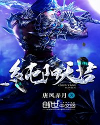 纯阳天君封面