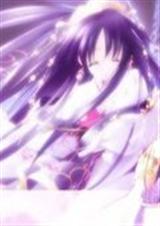 ��������:����