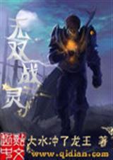 无双战灵封面