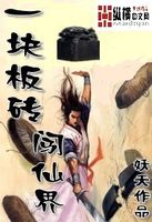 一块板砖闯仙界封面