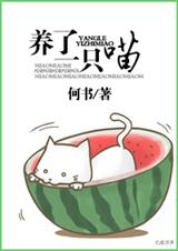 养了一只喵封面