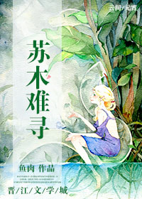 苏木难寻封面