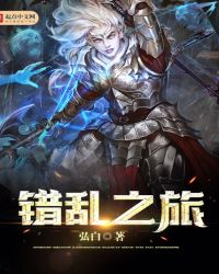 错乱之旅封面