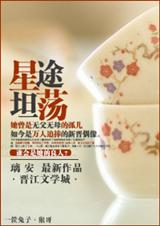 星途坦荡封面