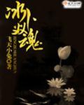 冰卜双魂封面