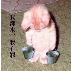 极品女帝封面