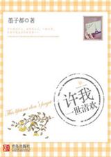 许我一世清欢封面