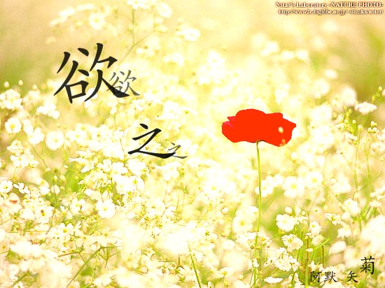 ֮