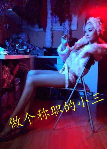 做个称职的小三封面
