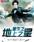 重生之地上之星封面