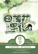 系统之白莲花黑化封面