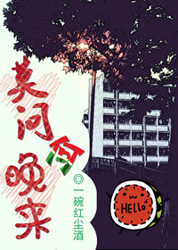 莫问何晚来封面