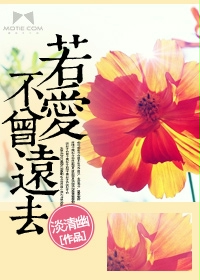 若爱不曾远去封面